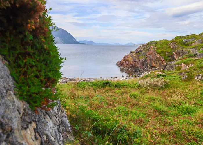 Сasa de vacaciones In Bjarkoy With Sauna *